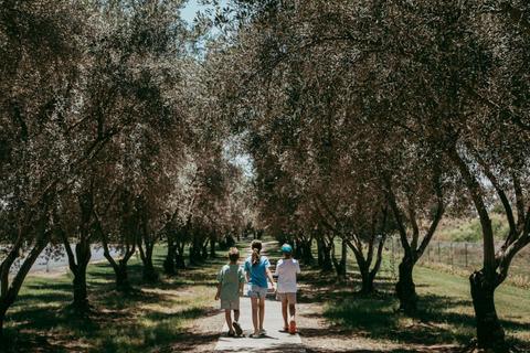 Inglewood Olive Walkway