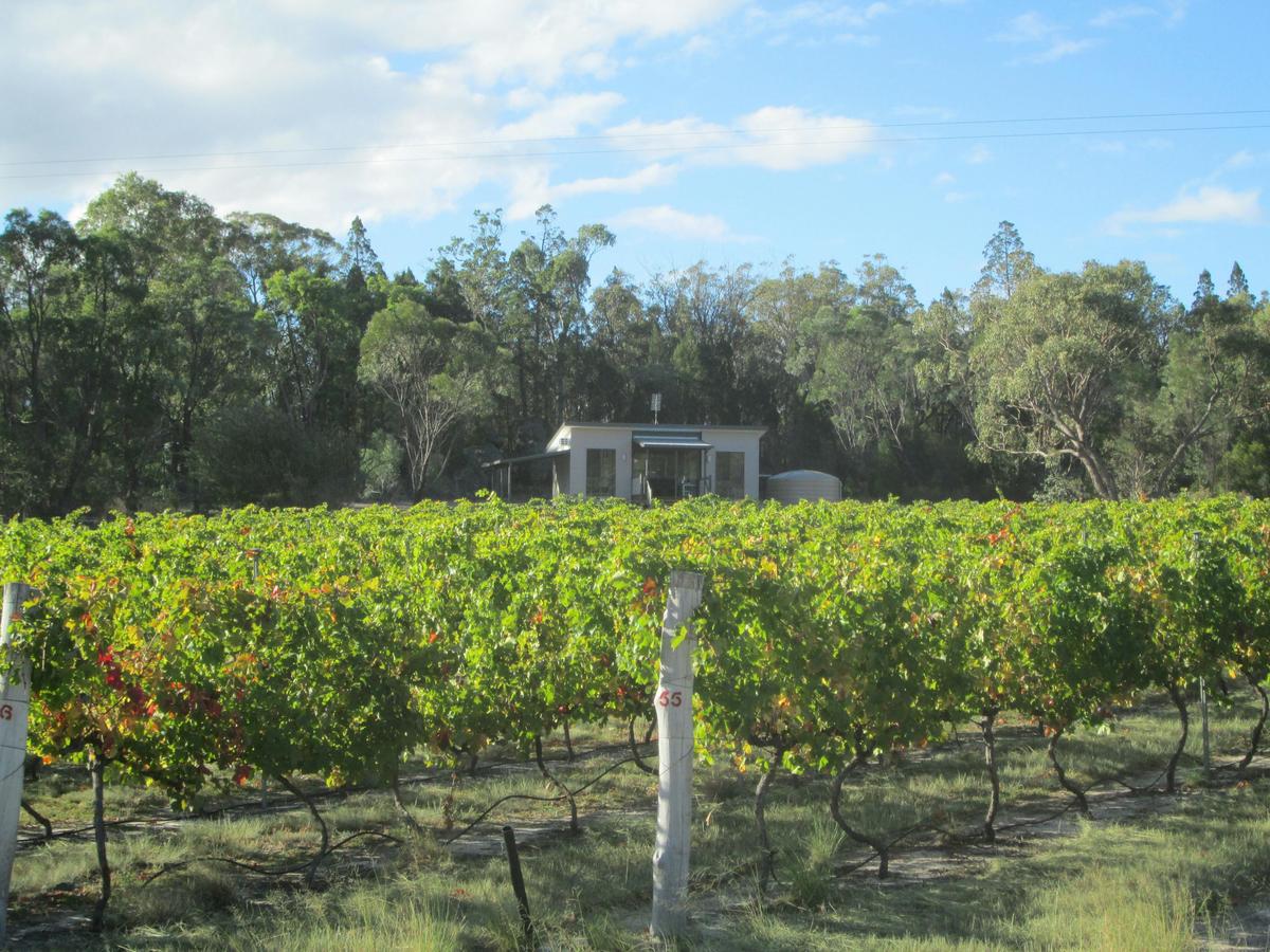 Shiraz cabin