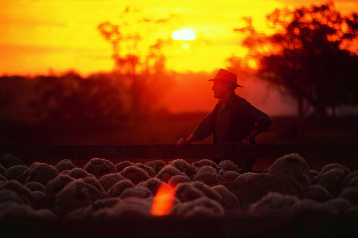 Farming, Jondaryan