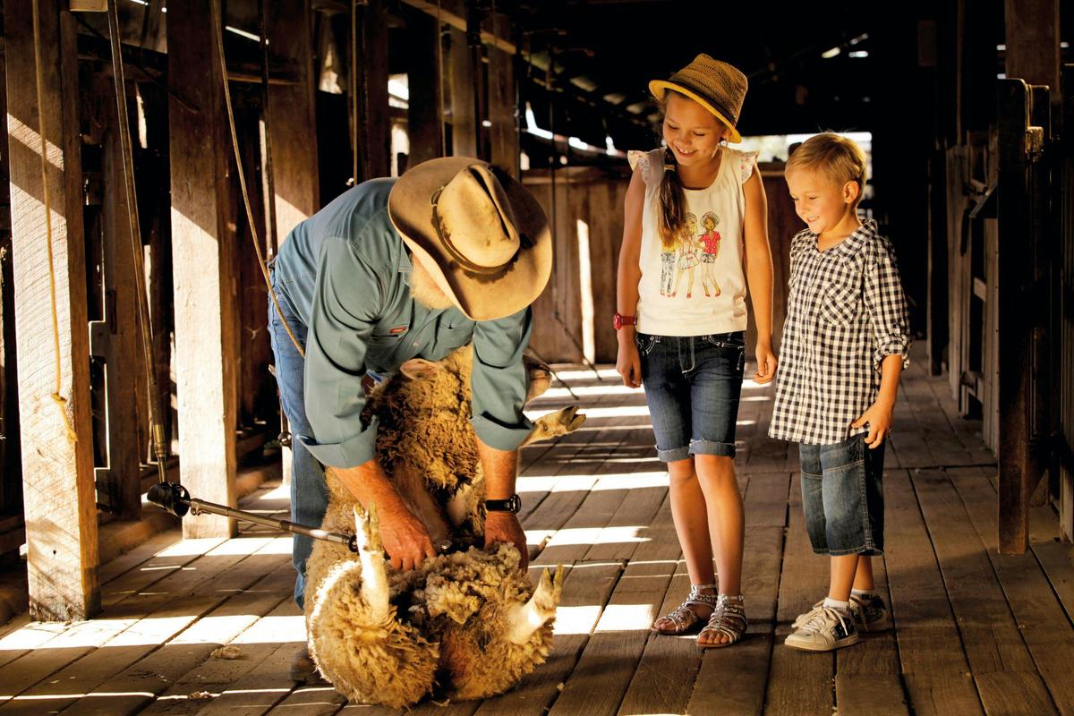 Jondaryan Woolshed