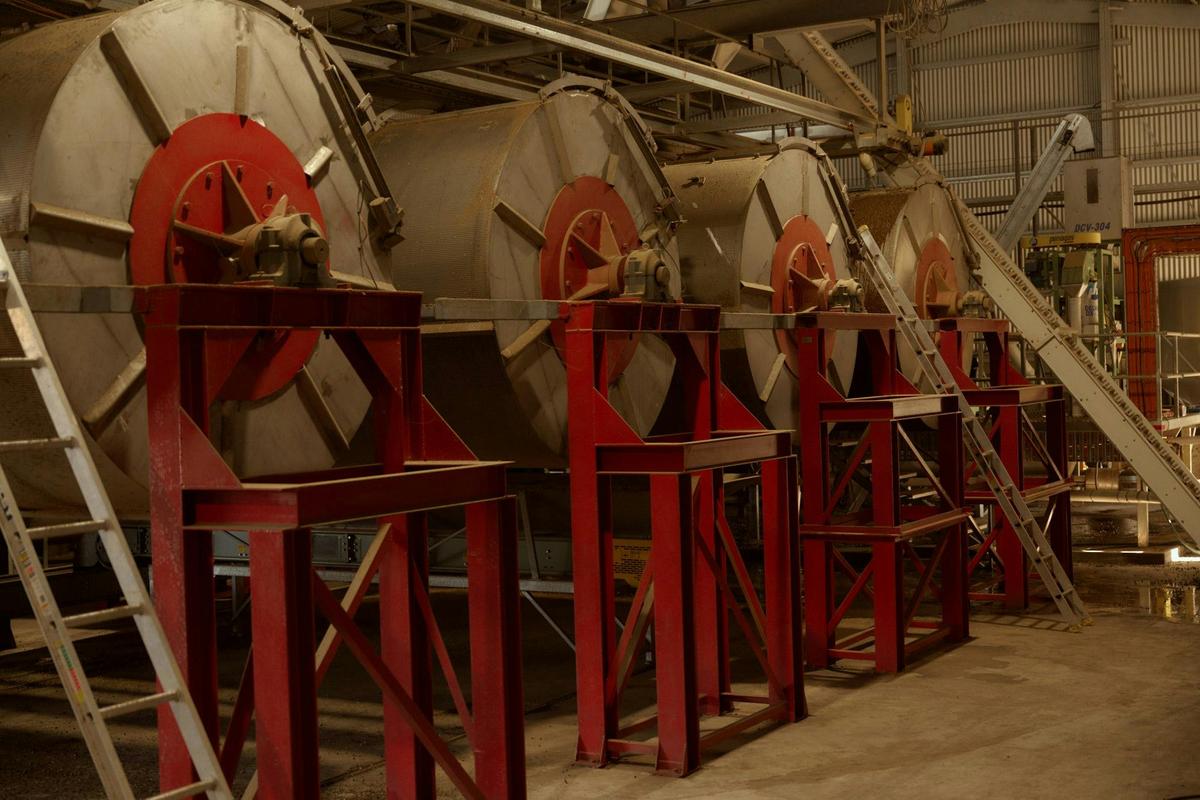 From Field to Cup: The Jack Murat Coffee Farm Tour