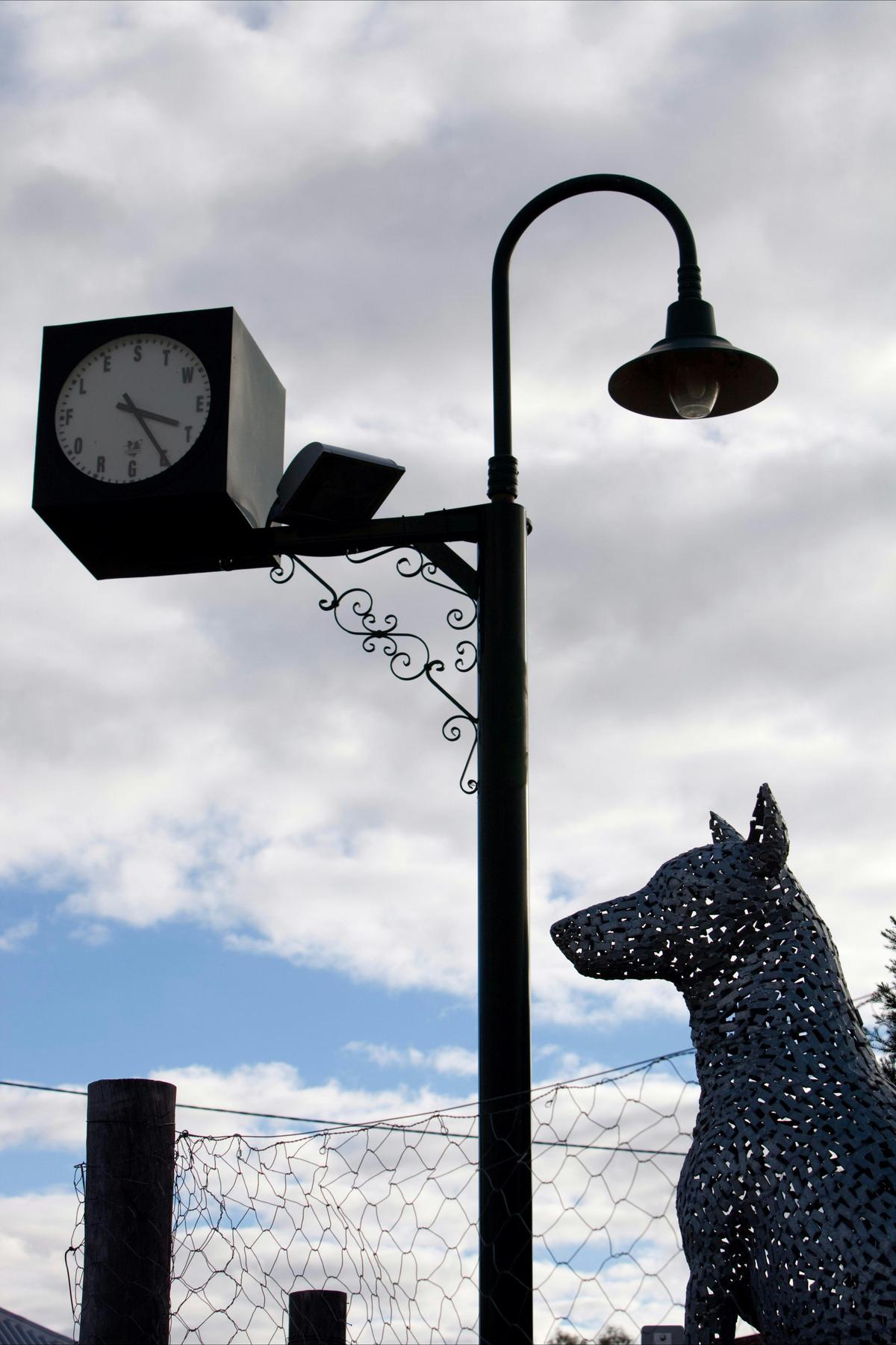 Dingo statue, Jandowae