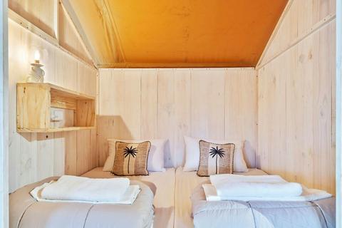 Family Safari Tent