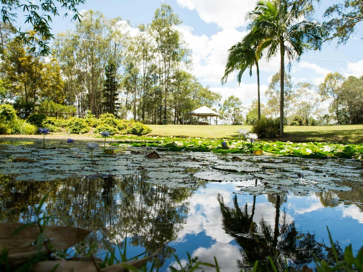 Kholo Gardens