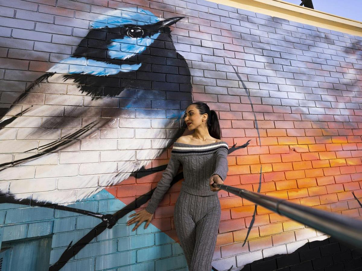 Ipswich Central Public Art Trail