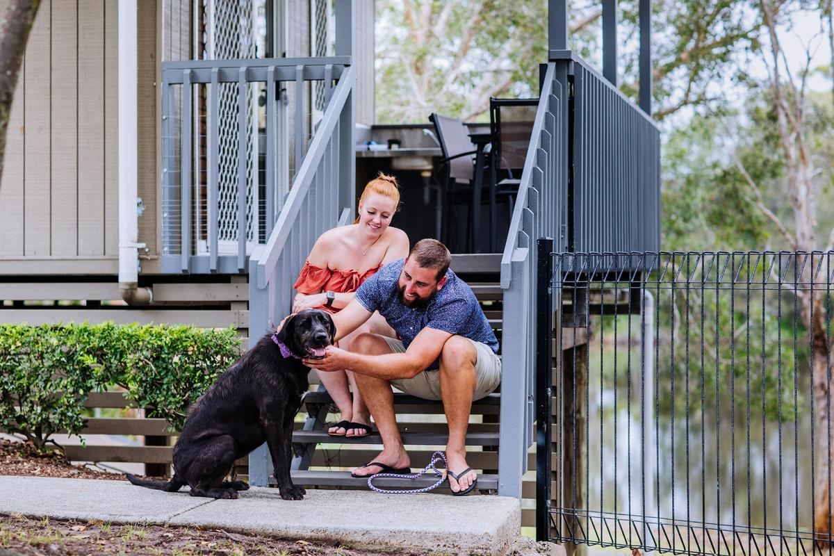 Dog friendly cabin stays