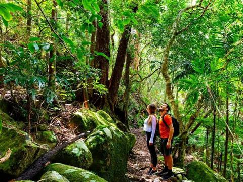 Walk Queensland's Scenic Rim