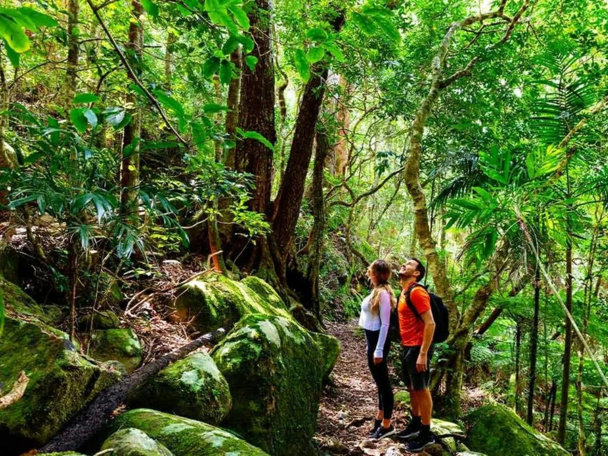 Walk Queensland's Scenic Rim