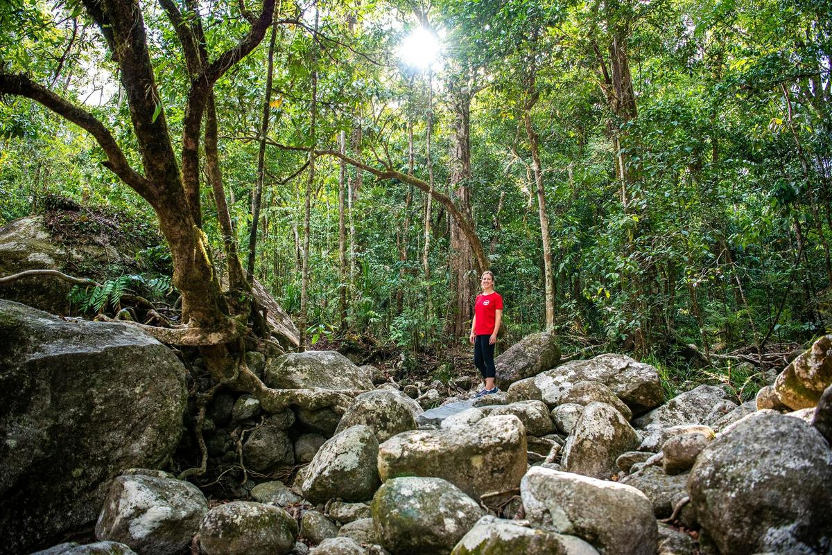 North Queensland Adventure