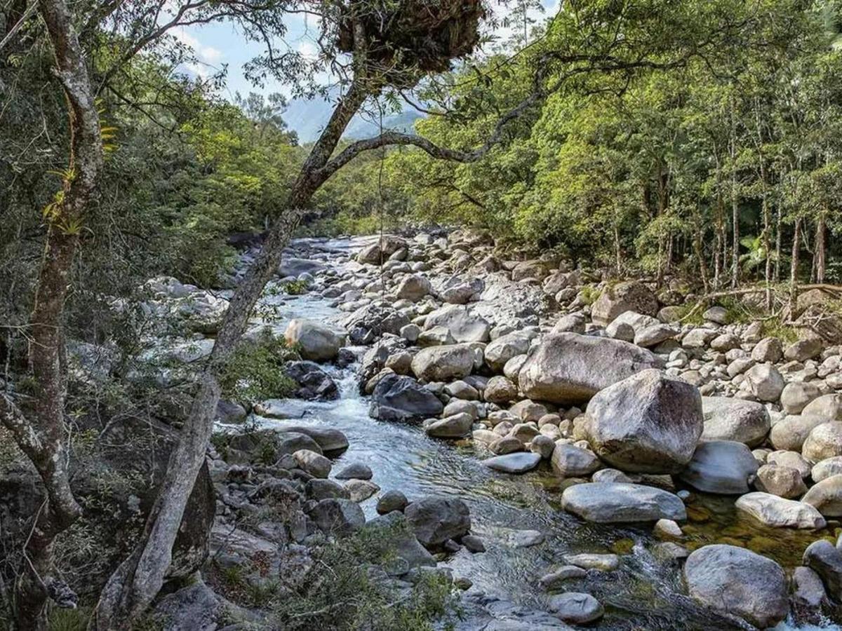 Daintree and Cape Tribulation Adventure