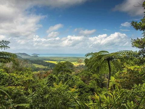 Brisbane to Cairns Adventure