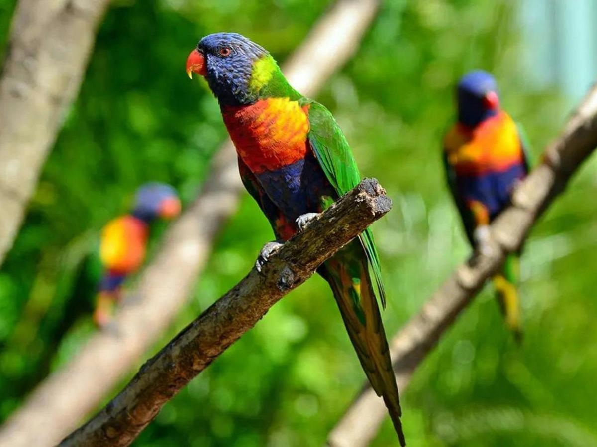 Walk Queensland's Scenic Rim