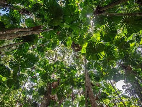 Best of Cairns, Great Barrier Reef & Daintree