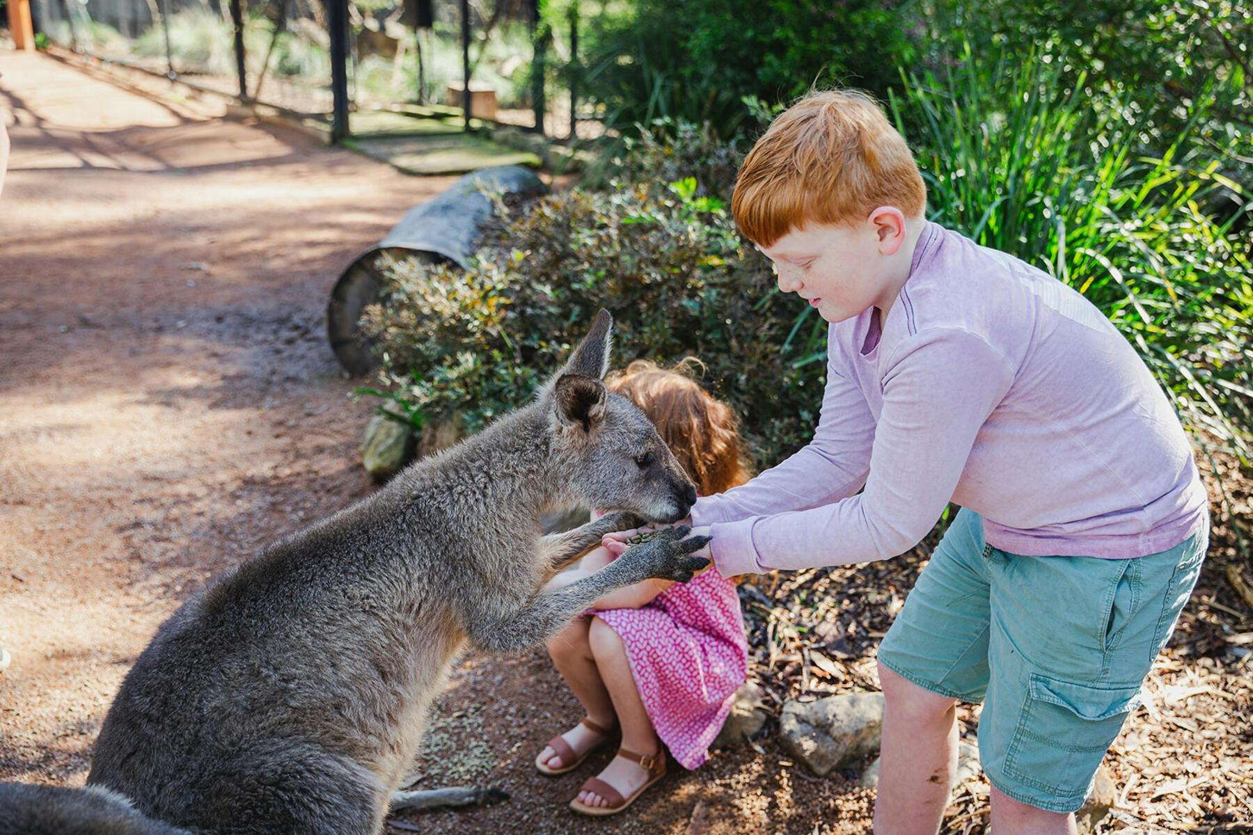Australian Wildlife Sanctuary