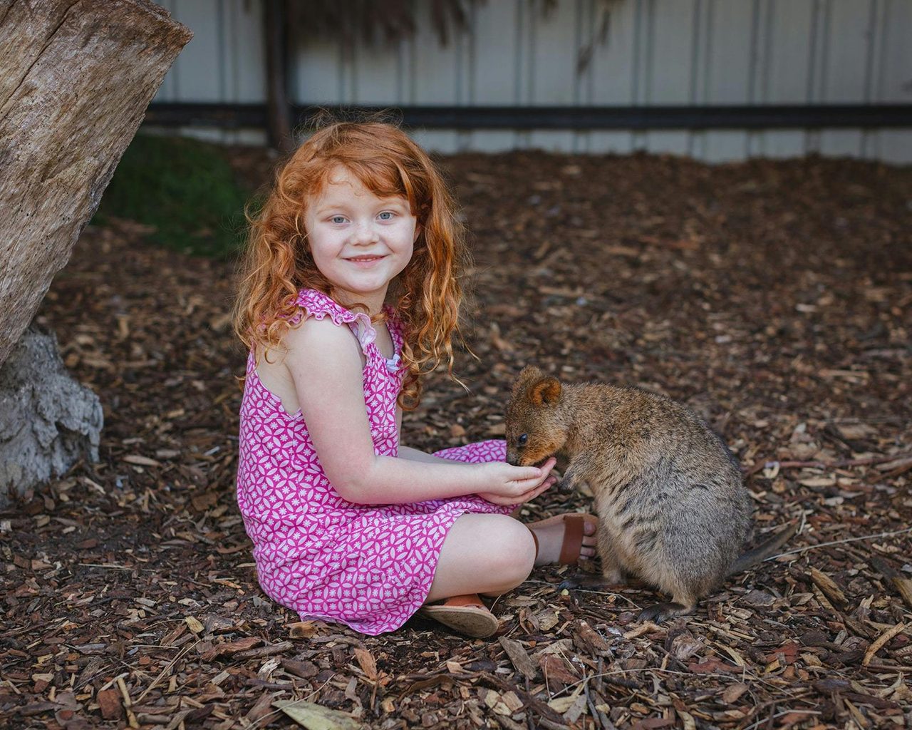 Australian Wildlife Sanctuary