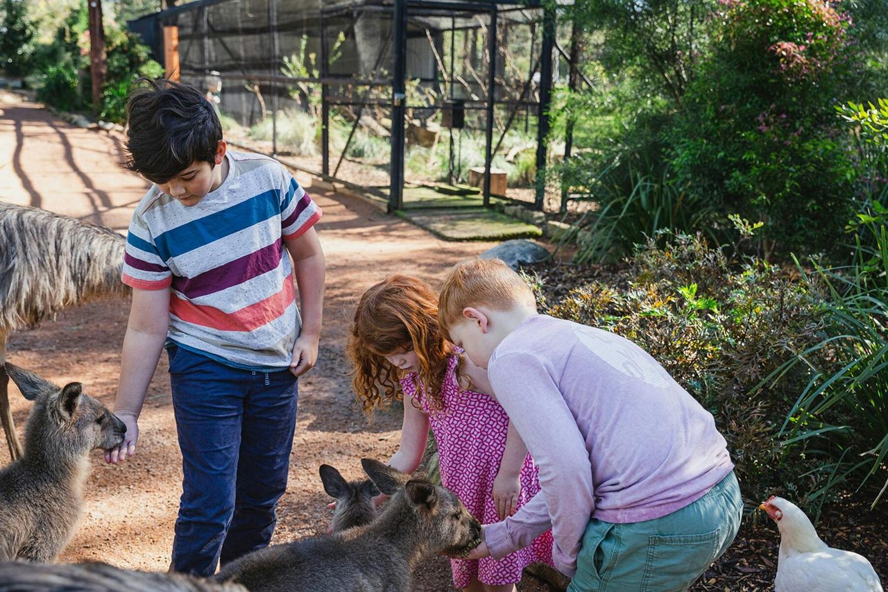 Australian Wildlife Sanctuary