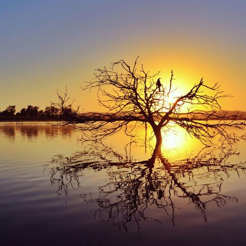 Lake Dyer Caravan & Camping