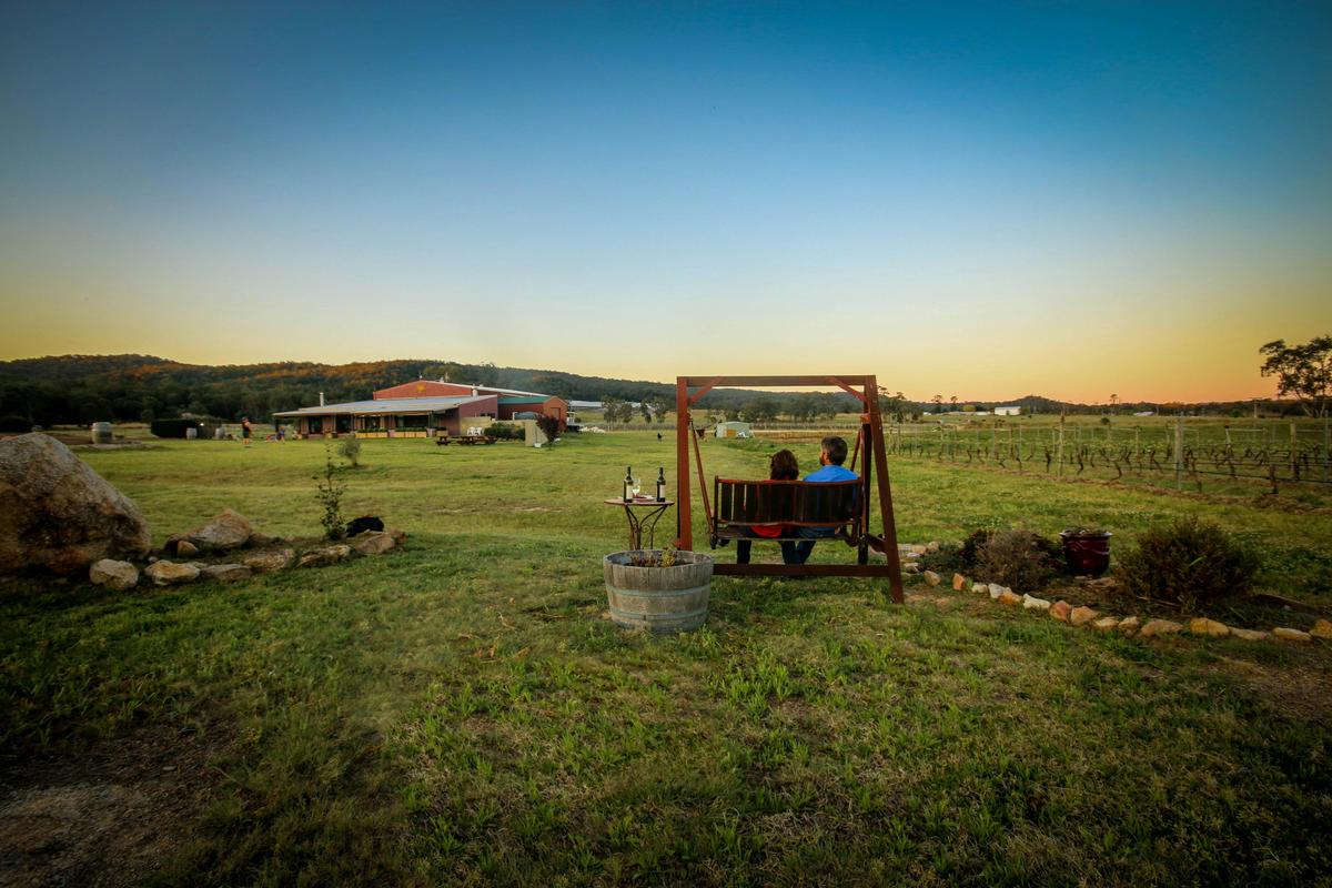 Overlooking the Cellar Door and Vineyard on Jester Hill's famous swing.