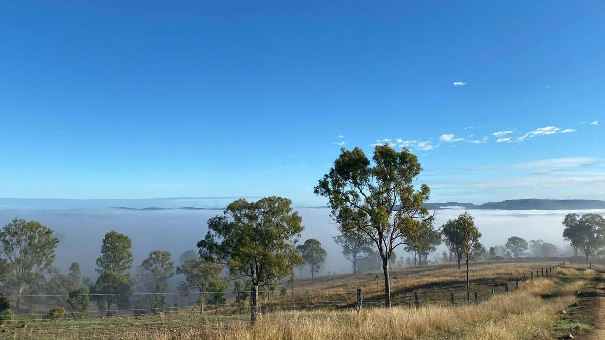 Foggy mornings for sensational warm days