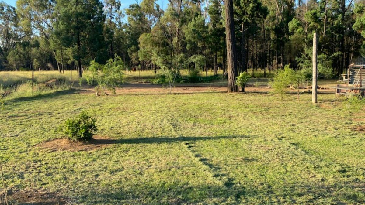 Kurrajong Bush Camping