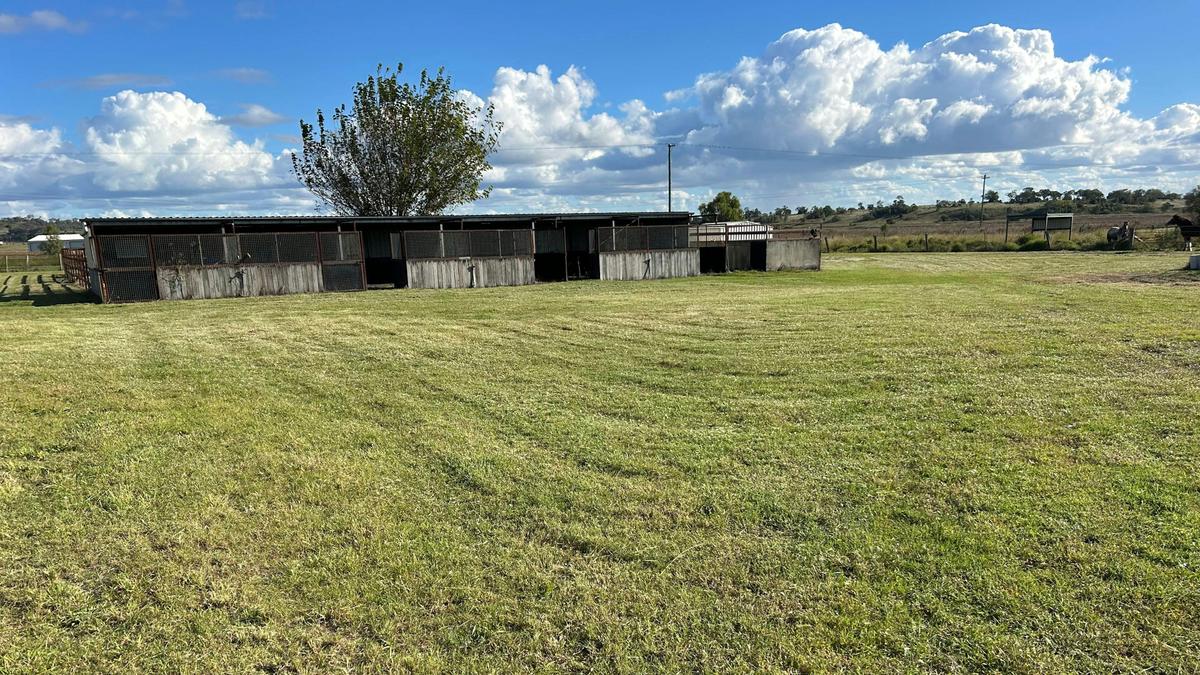 Kingsthorpe Horse Paddock
