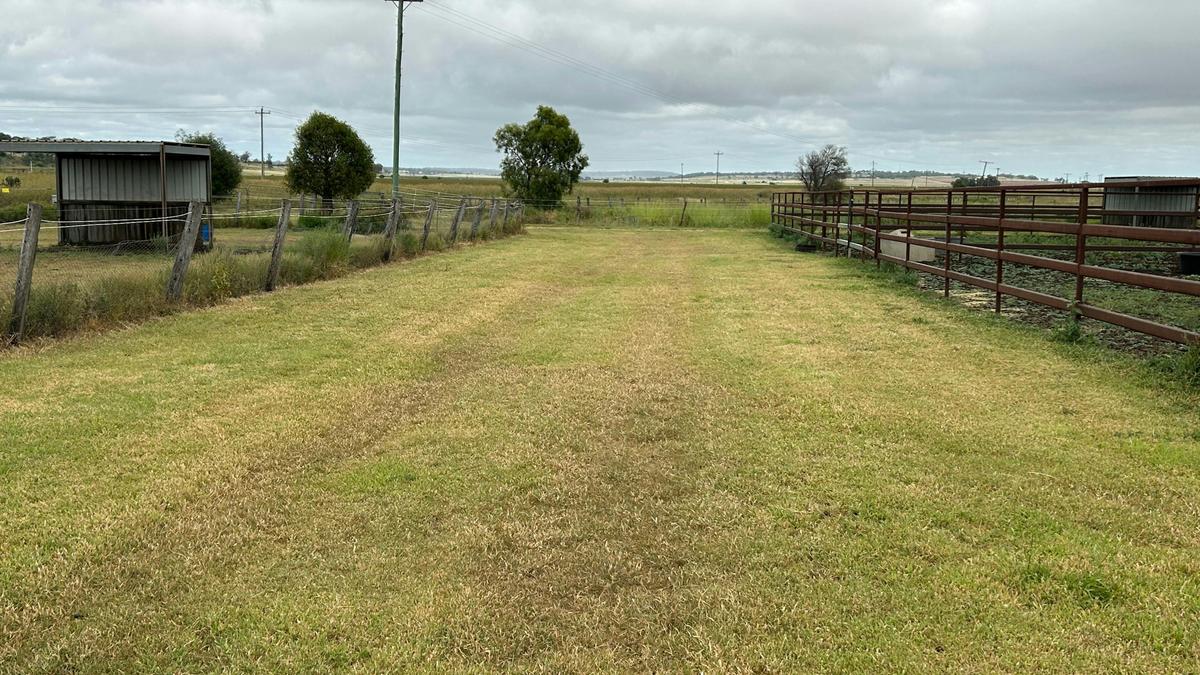 Kingsthorpe Horse Paddock