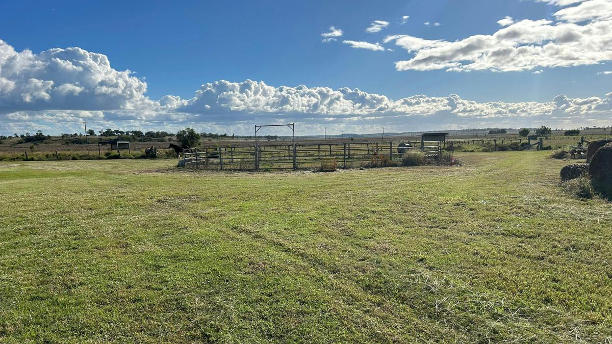 Kingsthorpe Horse Paddock
