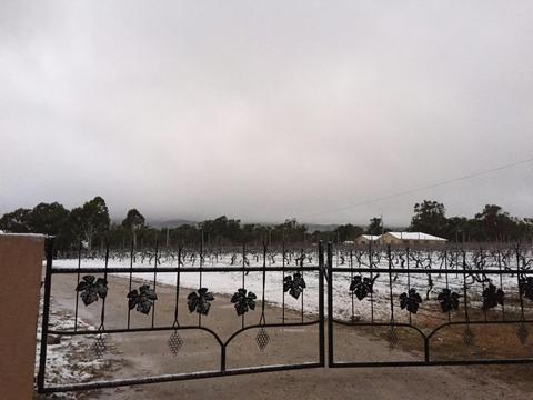 Kominos Wines