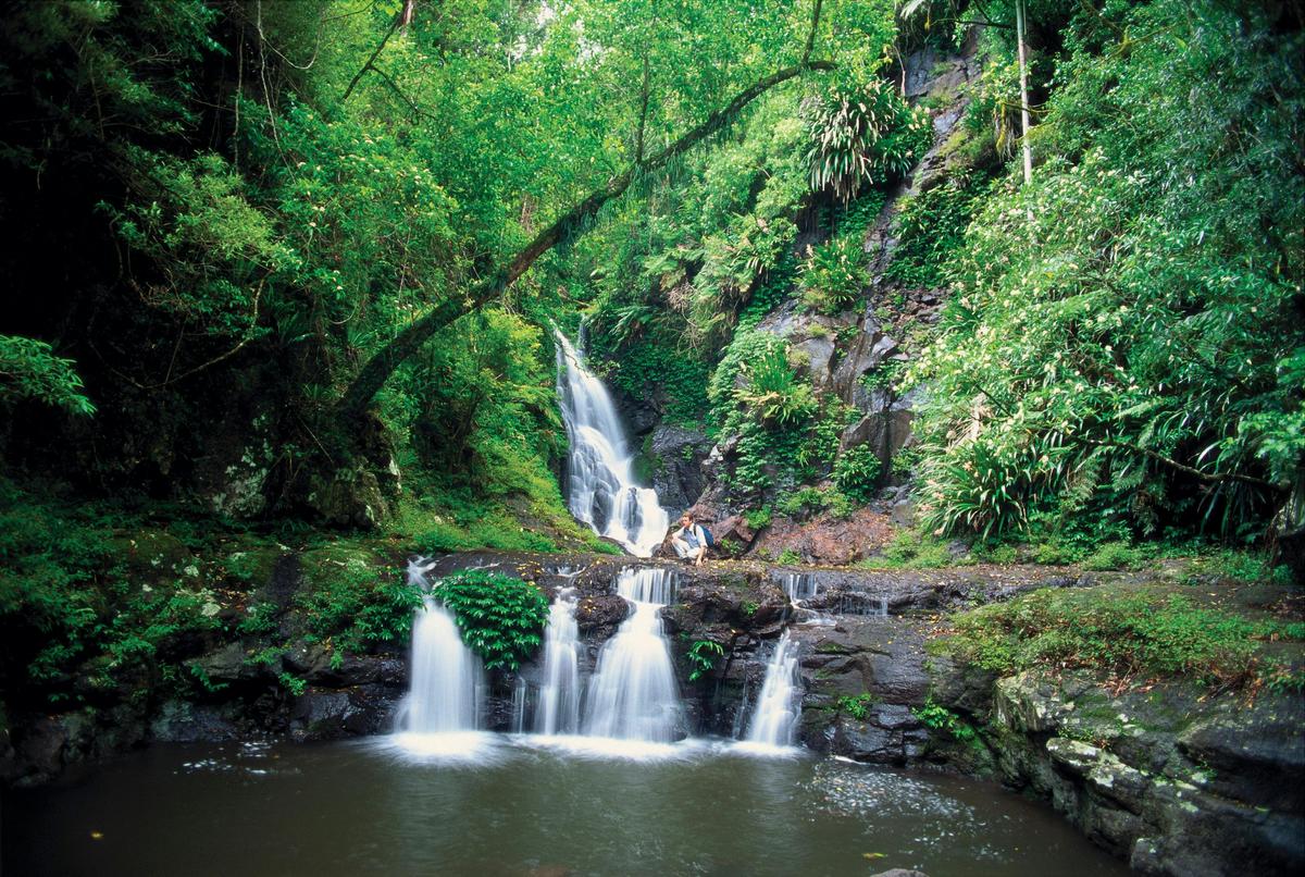 Gold Coast Hinterland 3-Day Pack-Free Guided Walk - Life's An Adventure