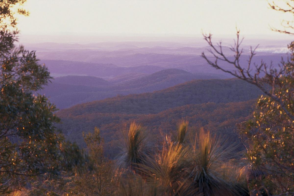 Bunya Mountains National Park