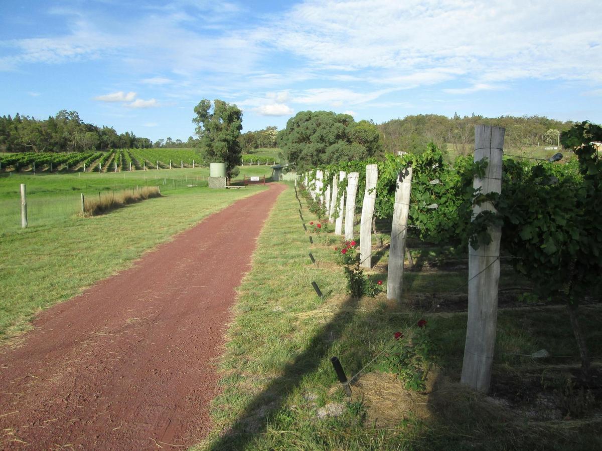 Just Red Wines vineyard