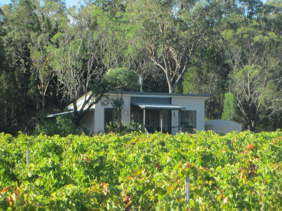 Vineyard cabin