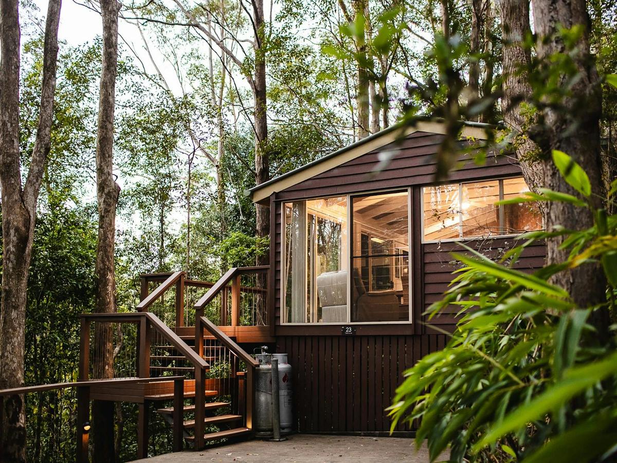 Treehouse Cabin at Kondalilla Eco Resort in the Sunshine Coast Hinterland