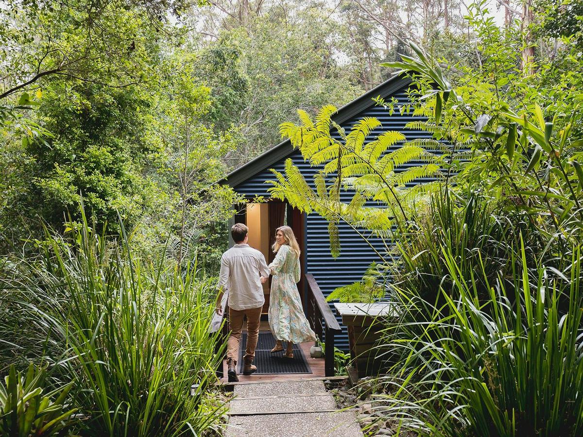 Hinterland Cabin in the Rainforest at Kondalilla Eco Resort