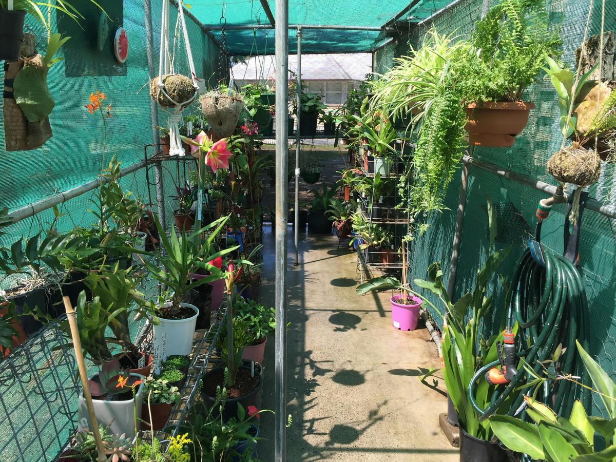 Kilcoy Craft Market - Nursery