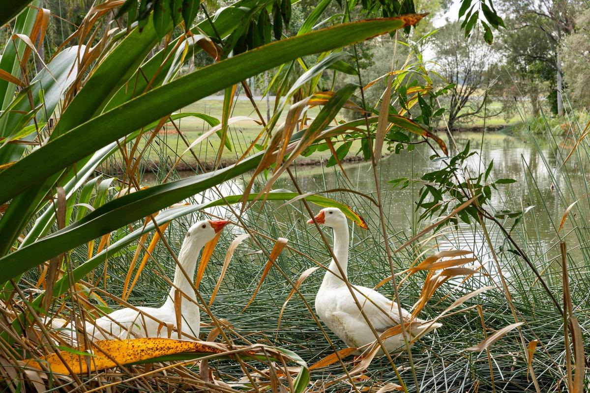 Lake Alford Recreational Park
