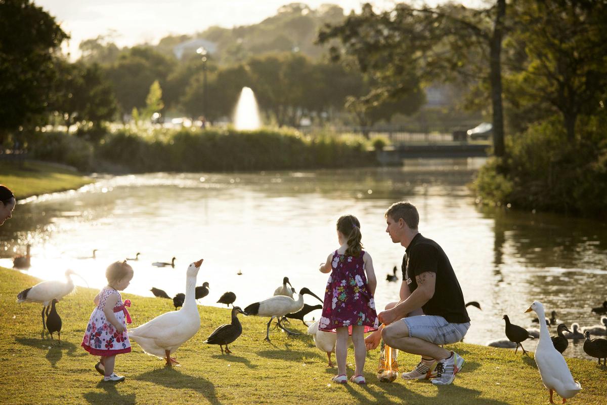 Feeding the ducks at Lake Alford
