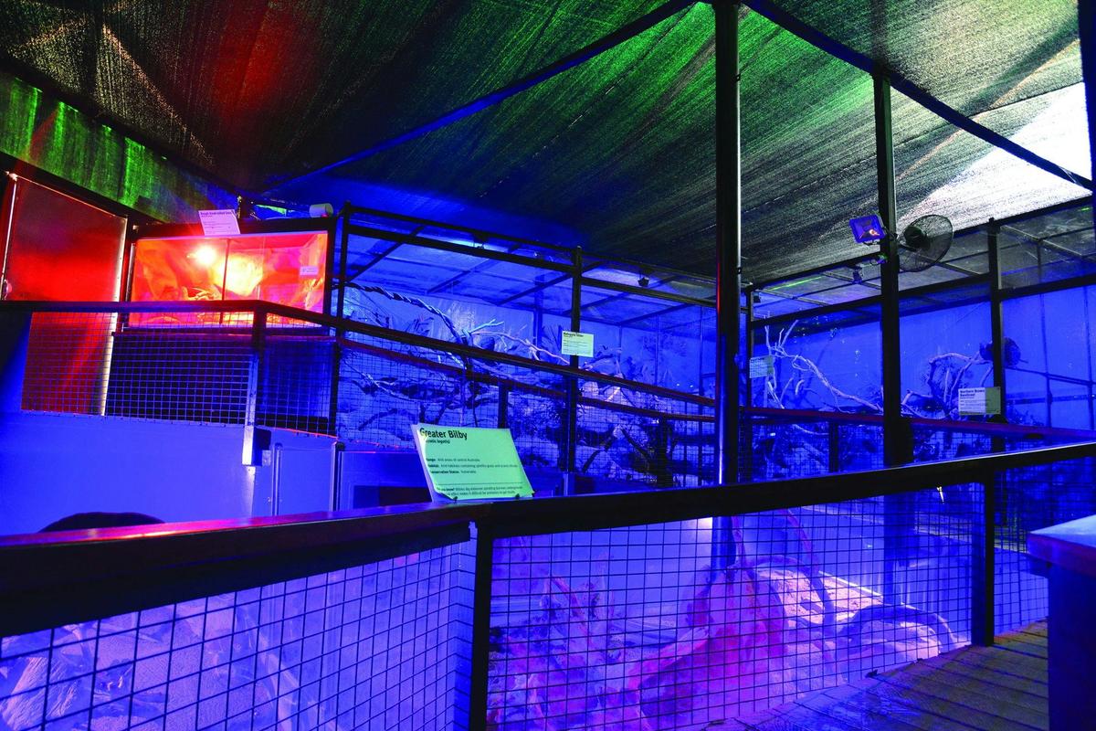 Nocturnal House Kuranda Koala Gardens