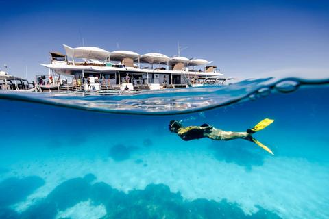 Lady Musgrave Island Day Tour