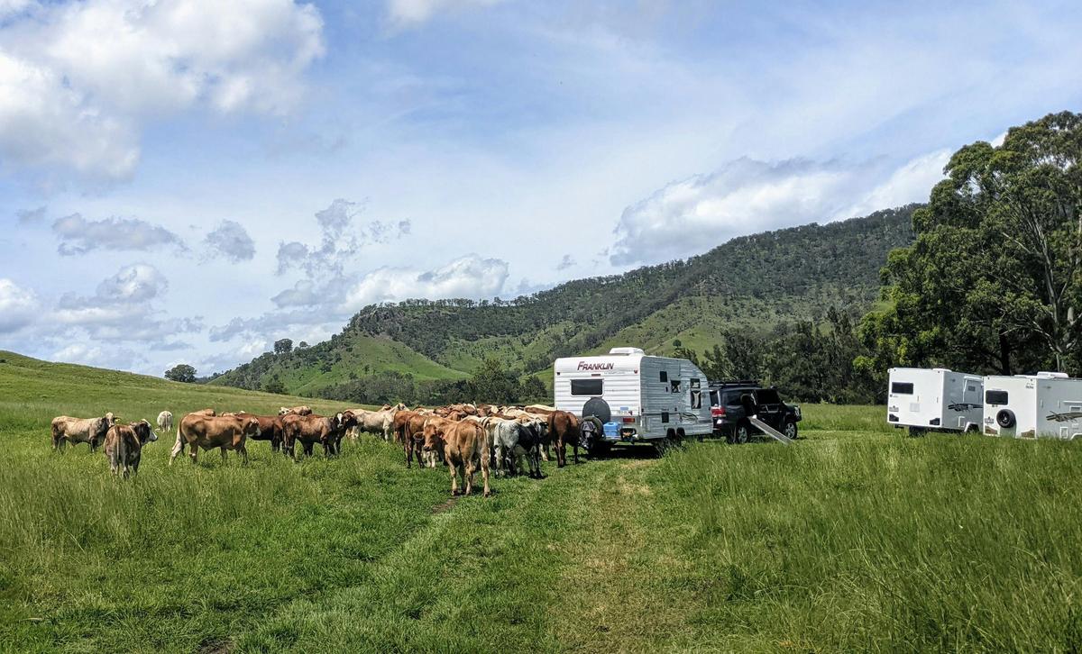Campsites are in with our livestock