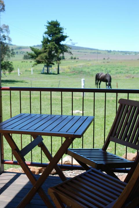 One Bedroom Pet Friendly Cabin