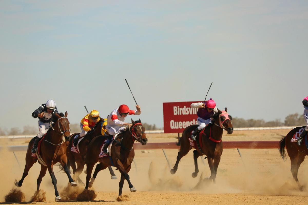 Birdsville Cup 2019 - and the winner is...