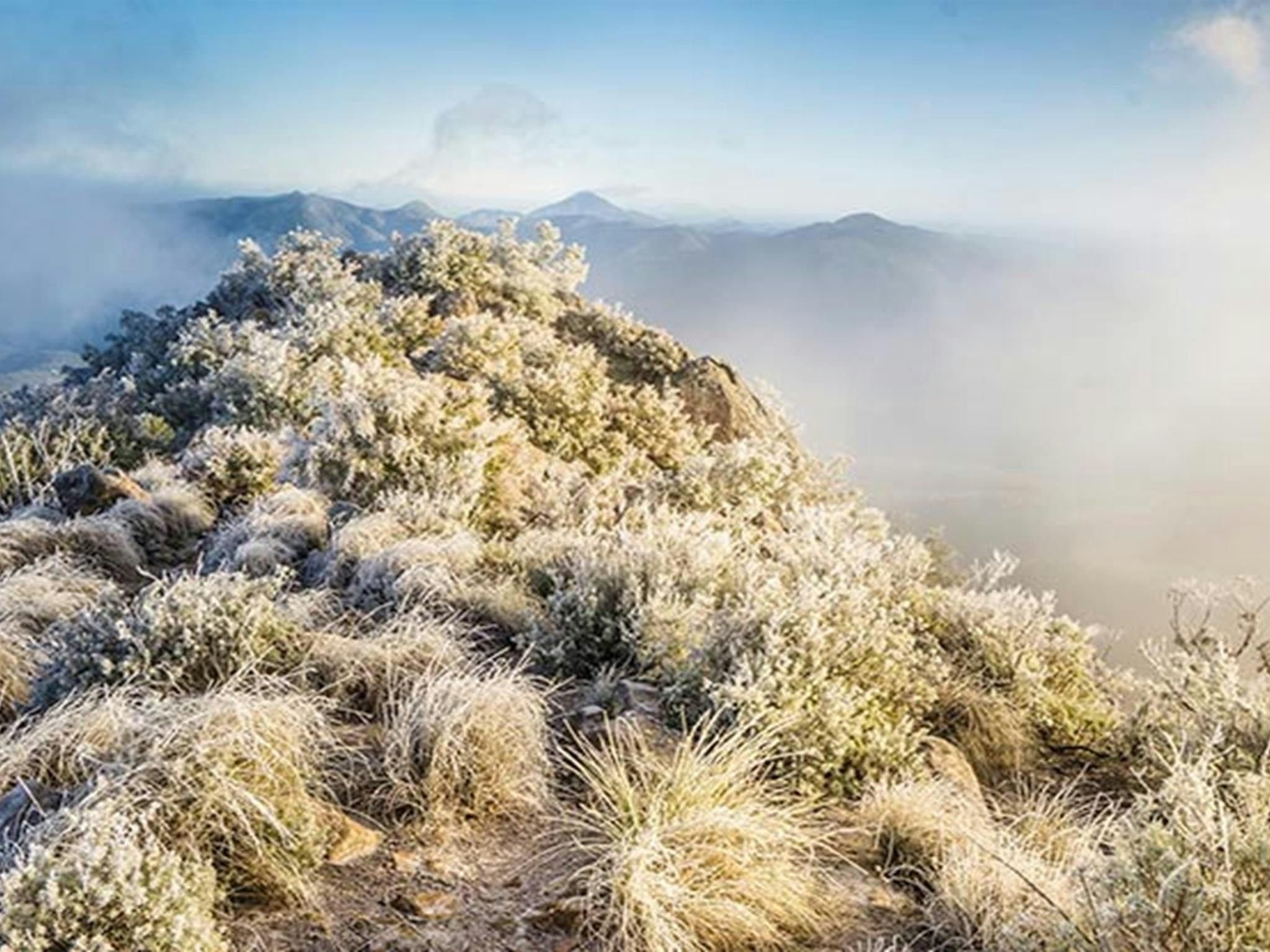 Views from Mount Kaputar Summit lookout. Photo: Simone Cottrell/OEH