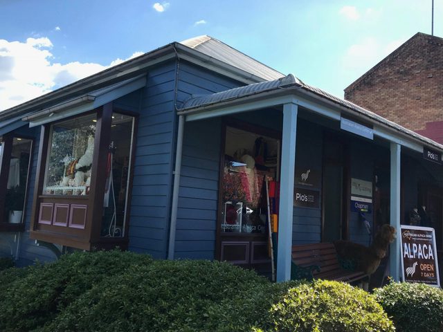 Australian Alpaca Barn - Leura