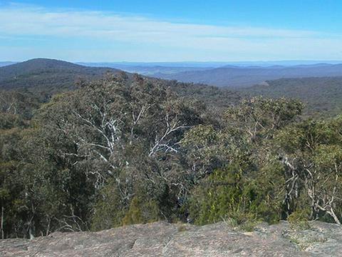 Norths Lookout