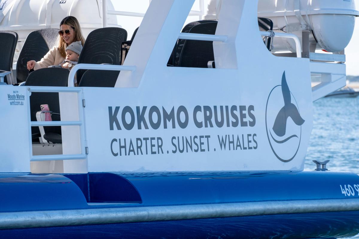 Gold Coast Whale Watching