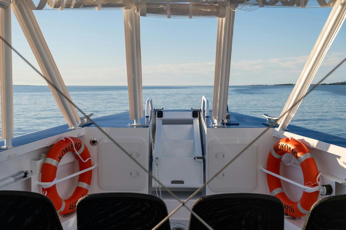 Gold Coast Whale Watching