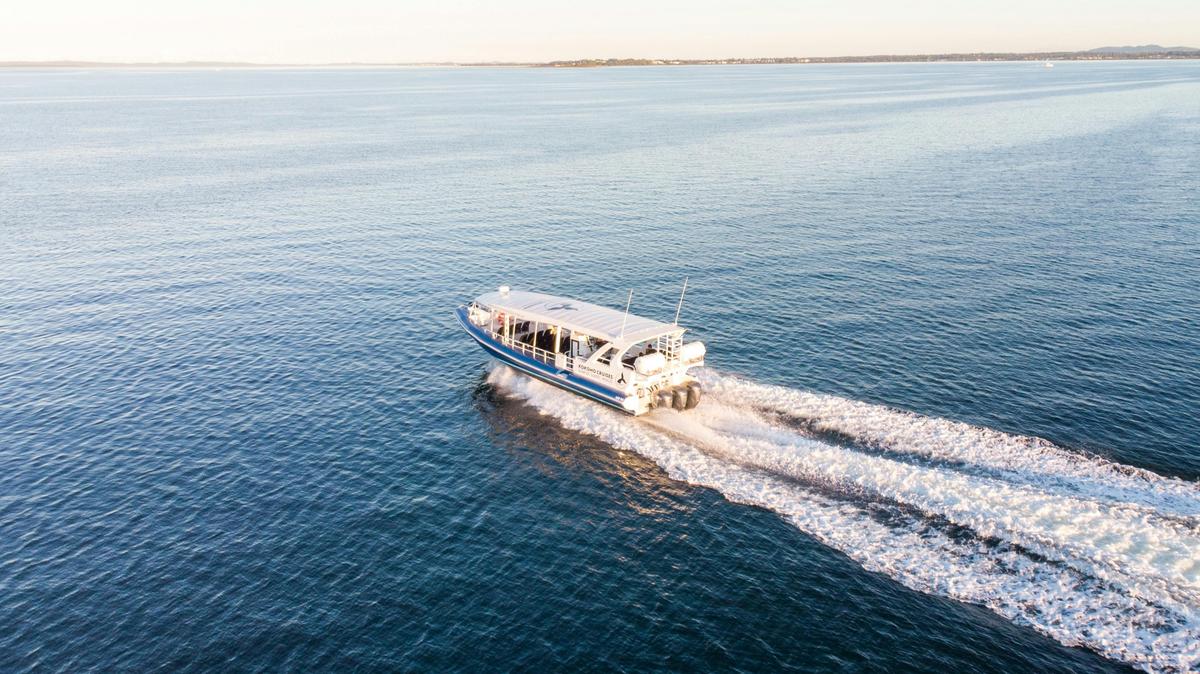 Gold Coast Whale Watching