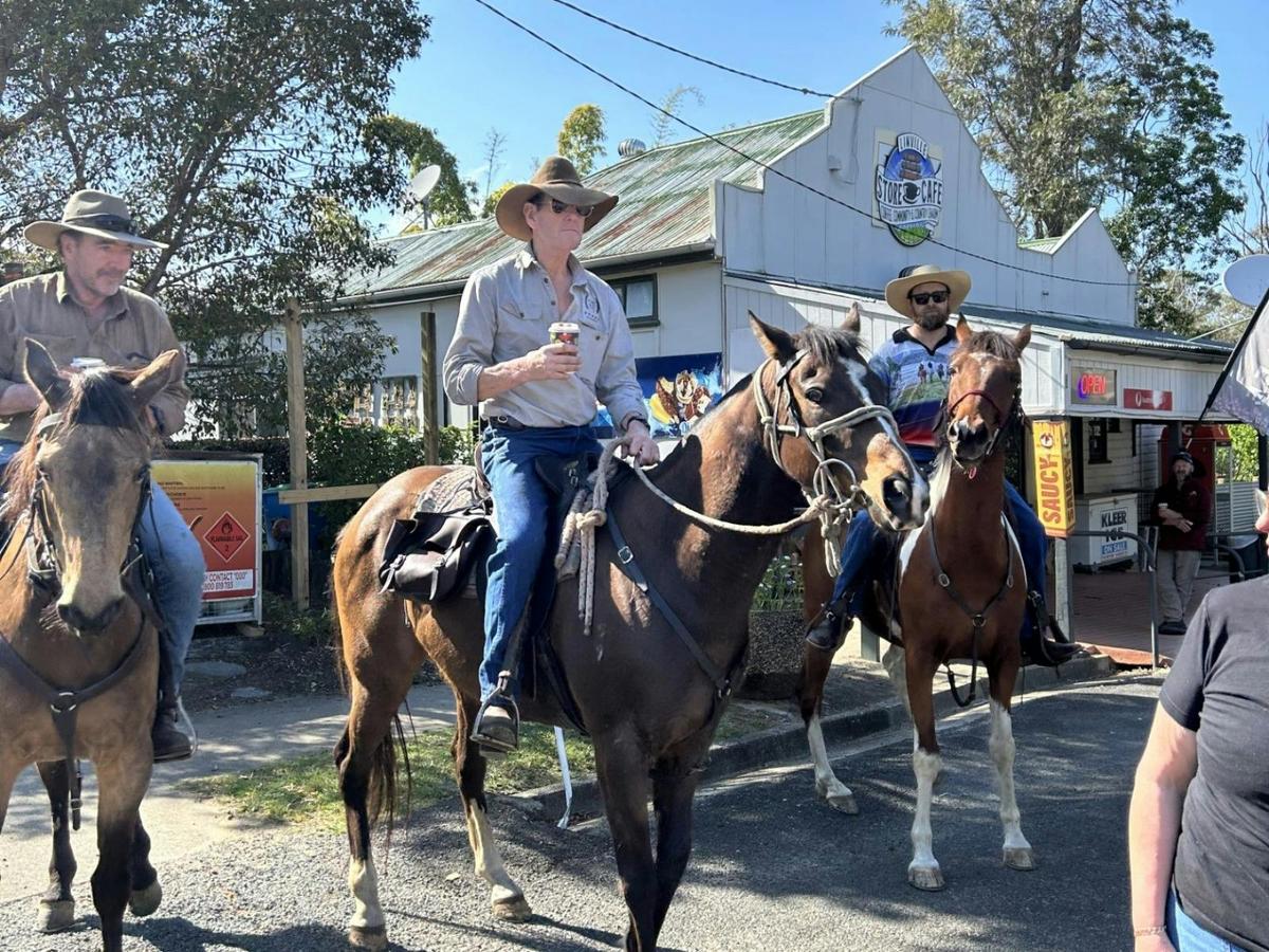 Horses at Linville