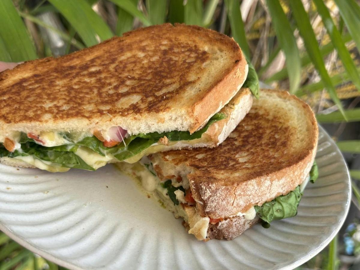 Gourmet Toasted Sandwich